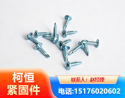 湛江华司钻尾丝