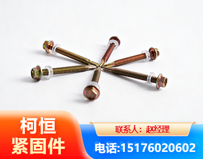 湛江六角钻尾丝